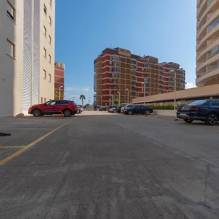 Amatista * Calp